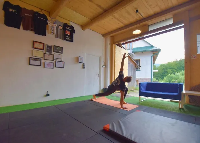 Pod Lubogoszczem בית הארחה *